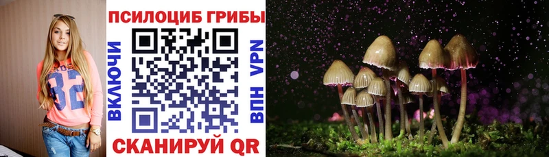 Галлюциногенные грибы мицелий  даркнет сайт  Нестеровская 